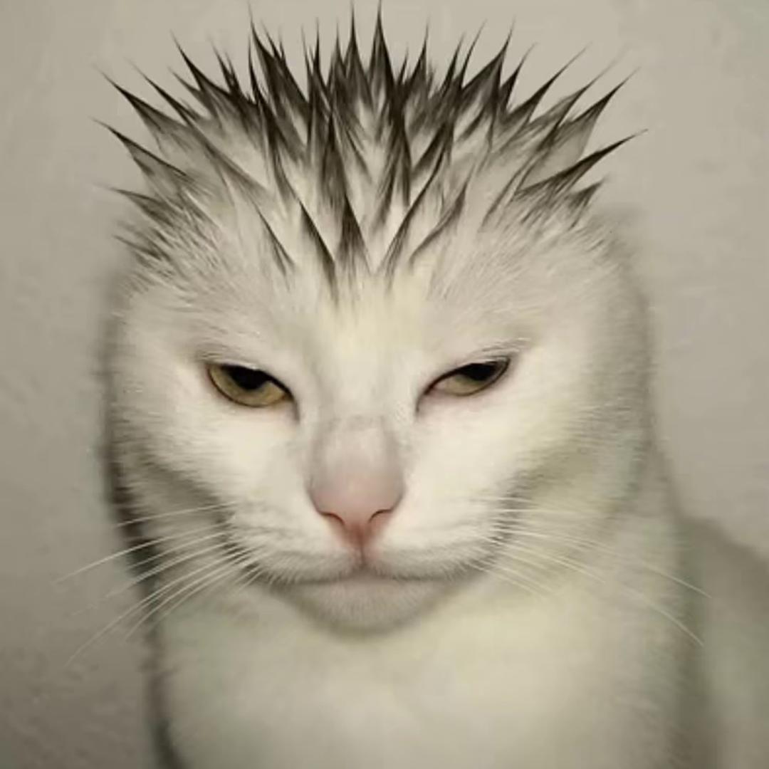 还想再努力一下