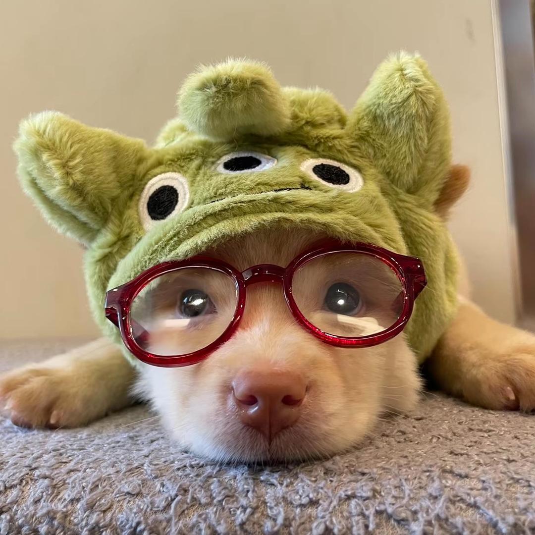 辽北第一颜值女主播