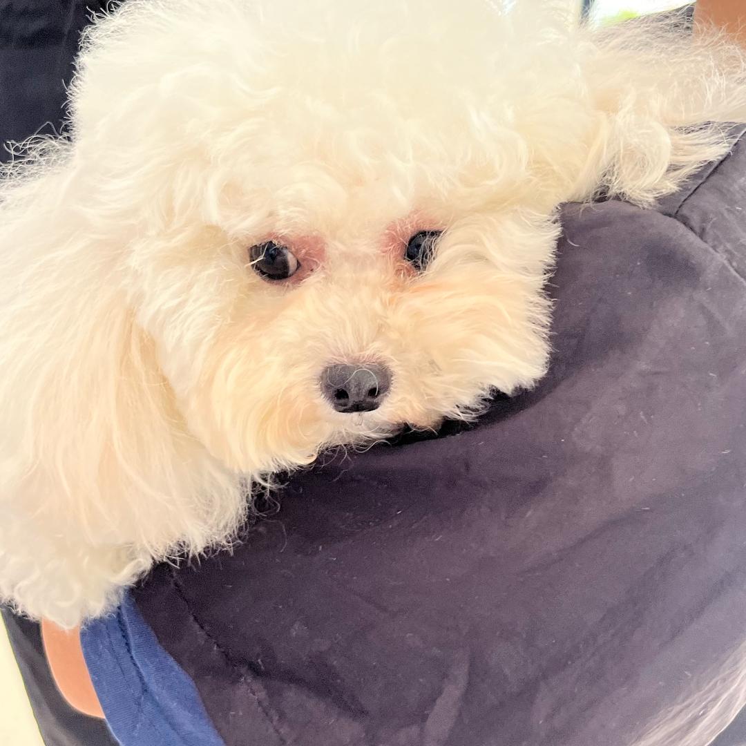 林木子
