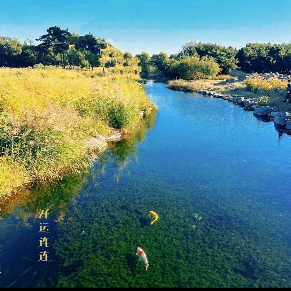 商洛卖Sealy床垫的小姐姐