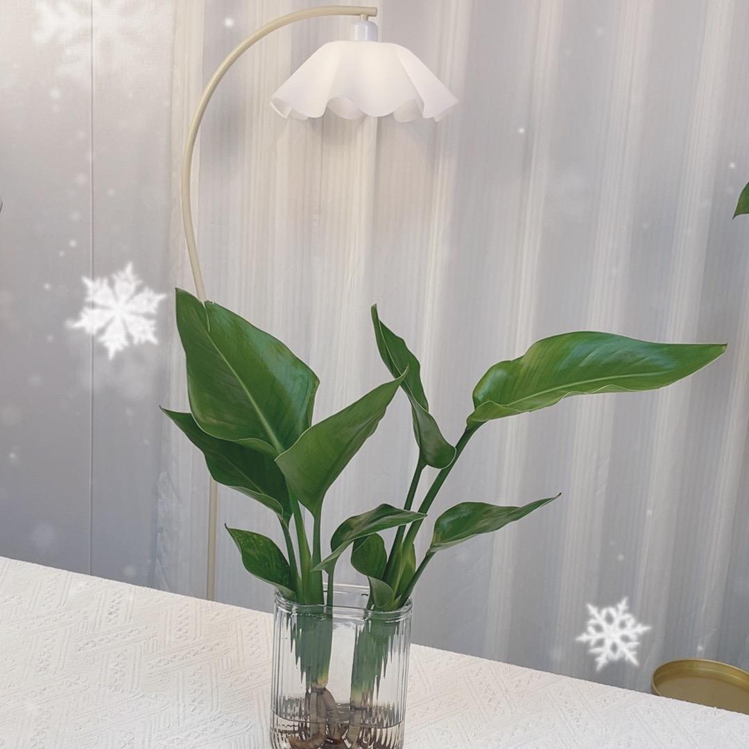 岚庭煦觅语家居