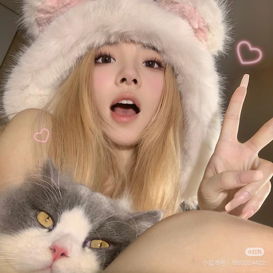 ^ฅ幸福小猫/•᷅•᷄\୭