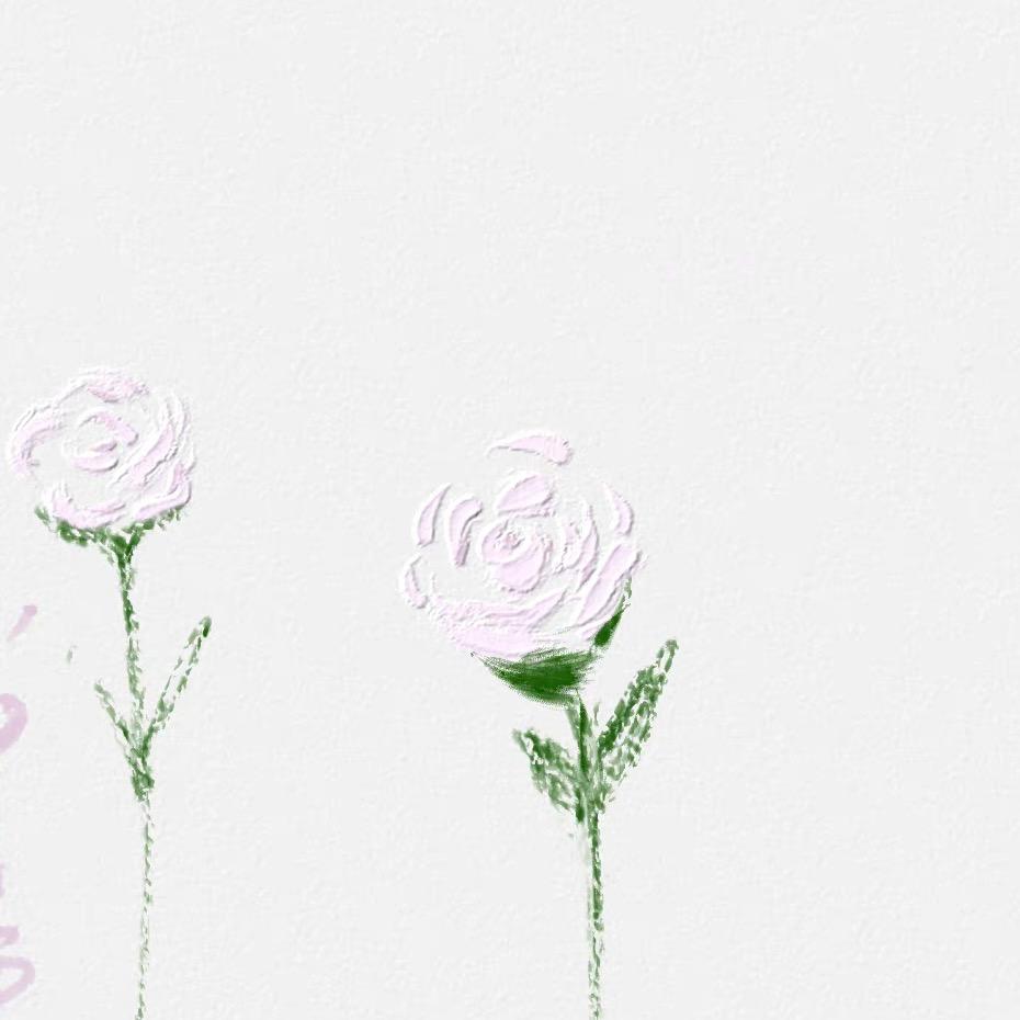 Aili一大青枣吃火锅