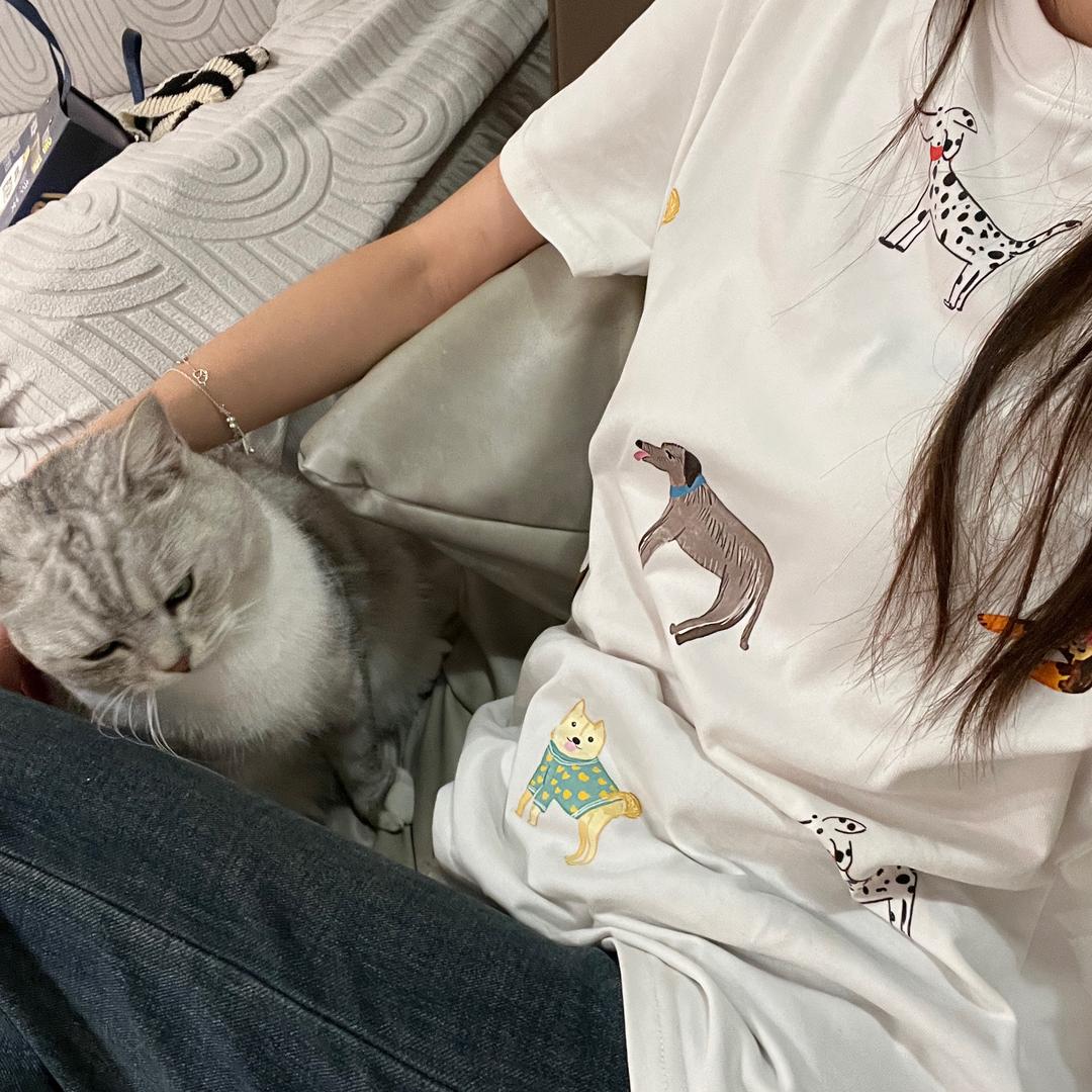 又不高冷