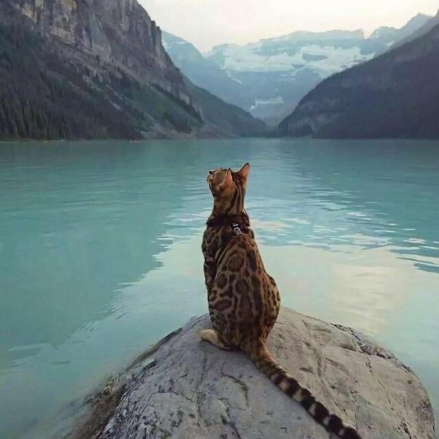 潘的