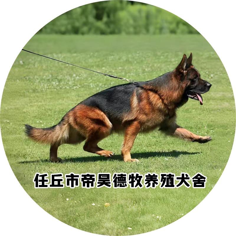 CSV—任丘帝昊德牧
