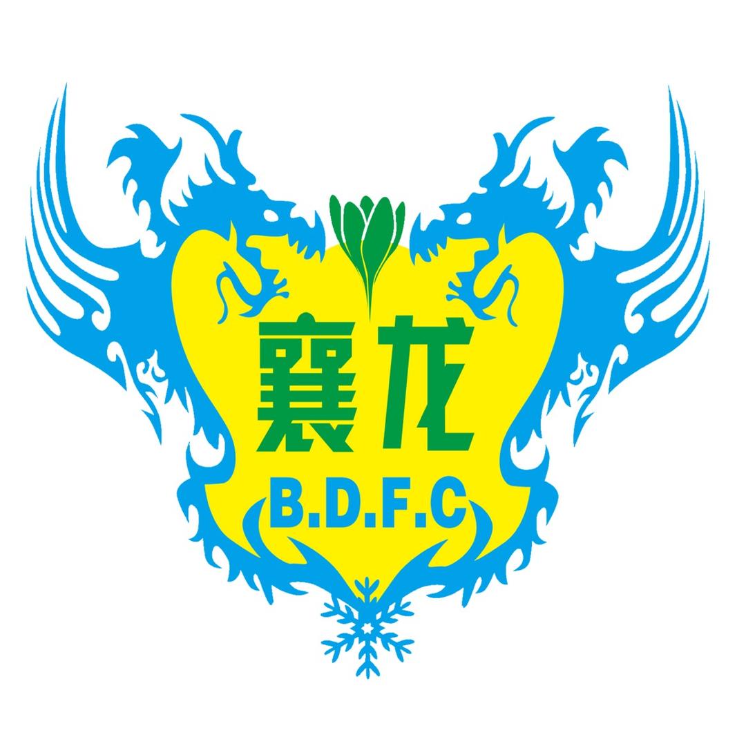 哈尔滨襄龙足球培训&哈尔滨市足球队
