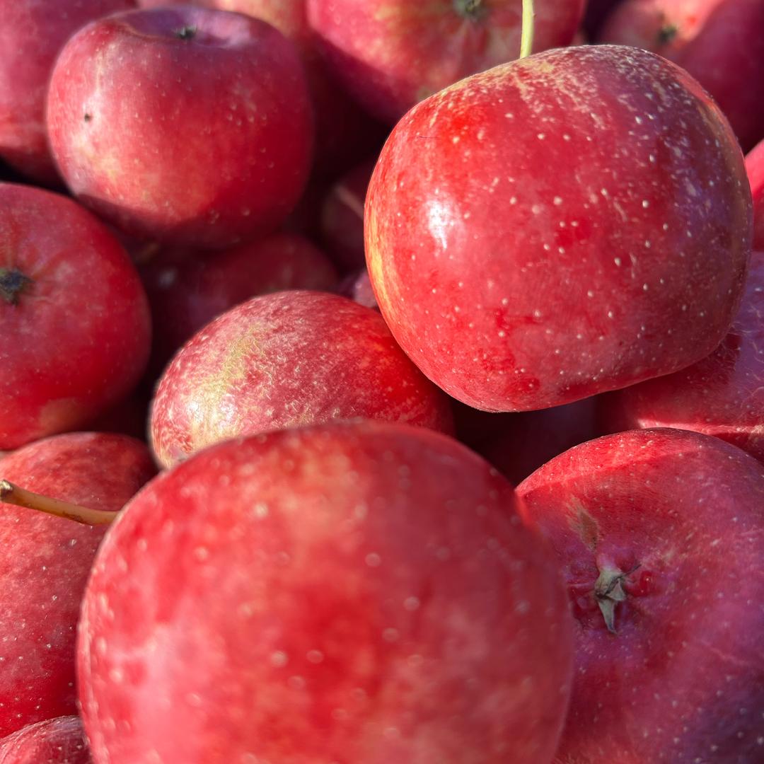 余生随心❤️🐠鱼儿