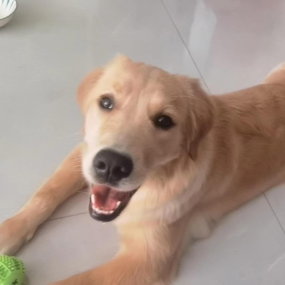 居然之家(胡馆)