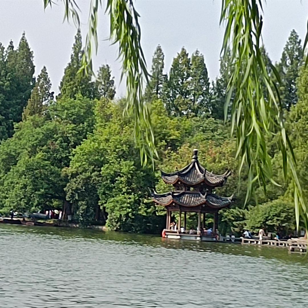 知心