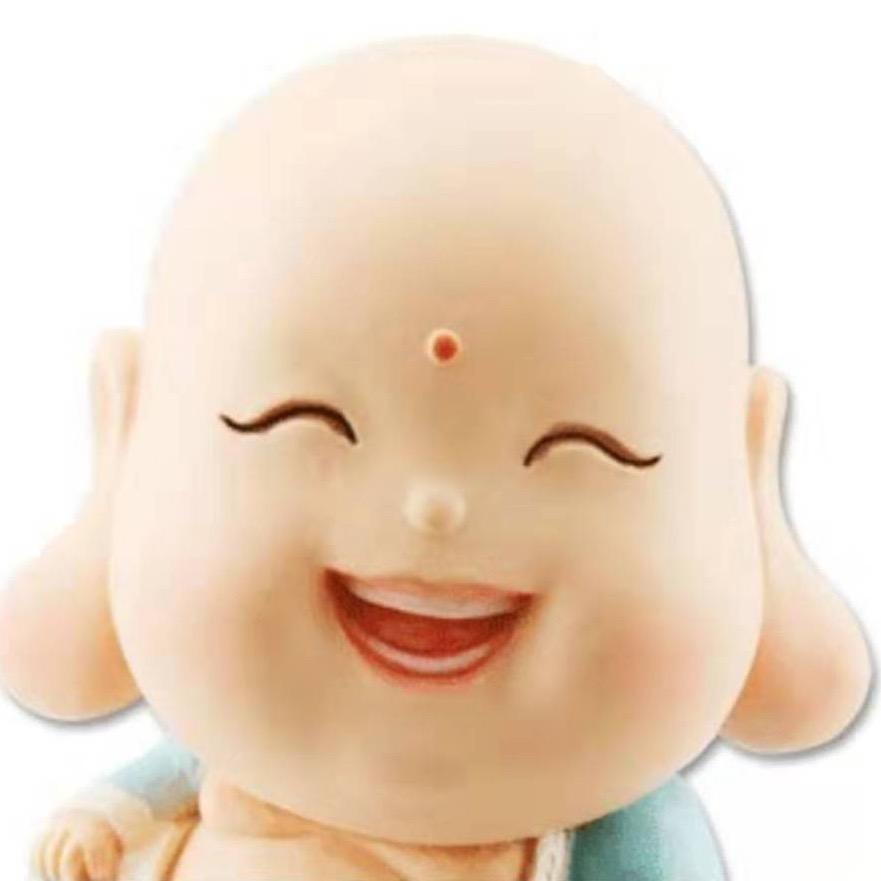 自由飞翔的海鸥