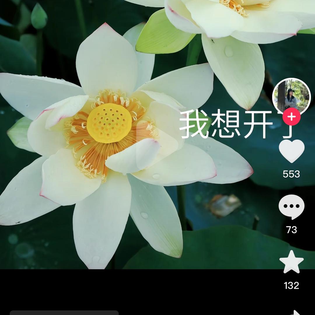 囡囡文化