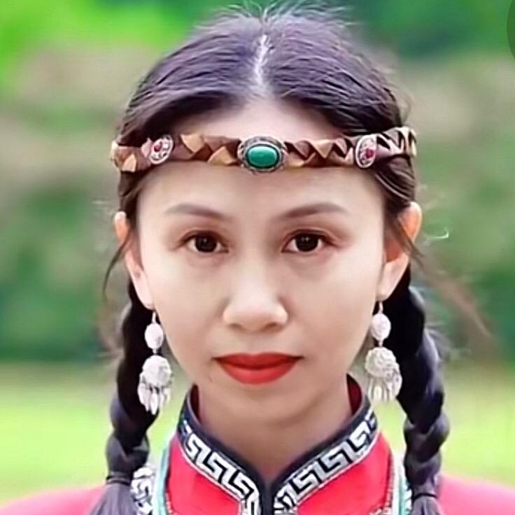 红枣H