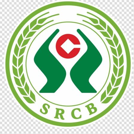 南充农商银行高坪支行足球队