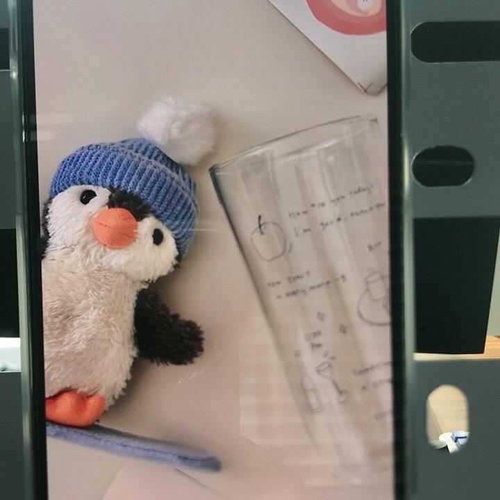 假的骗人的