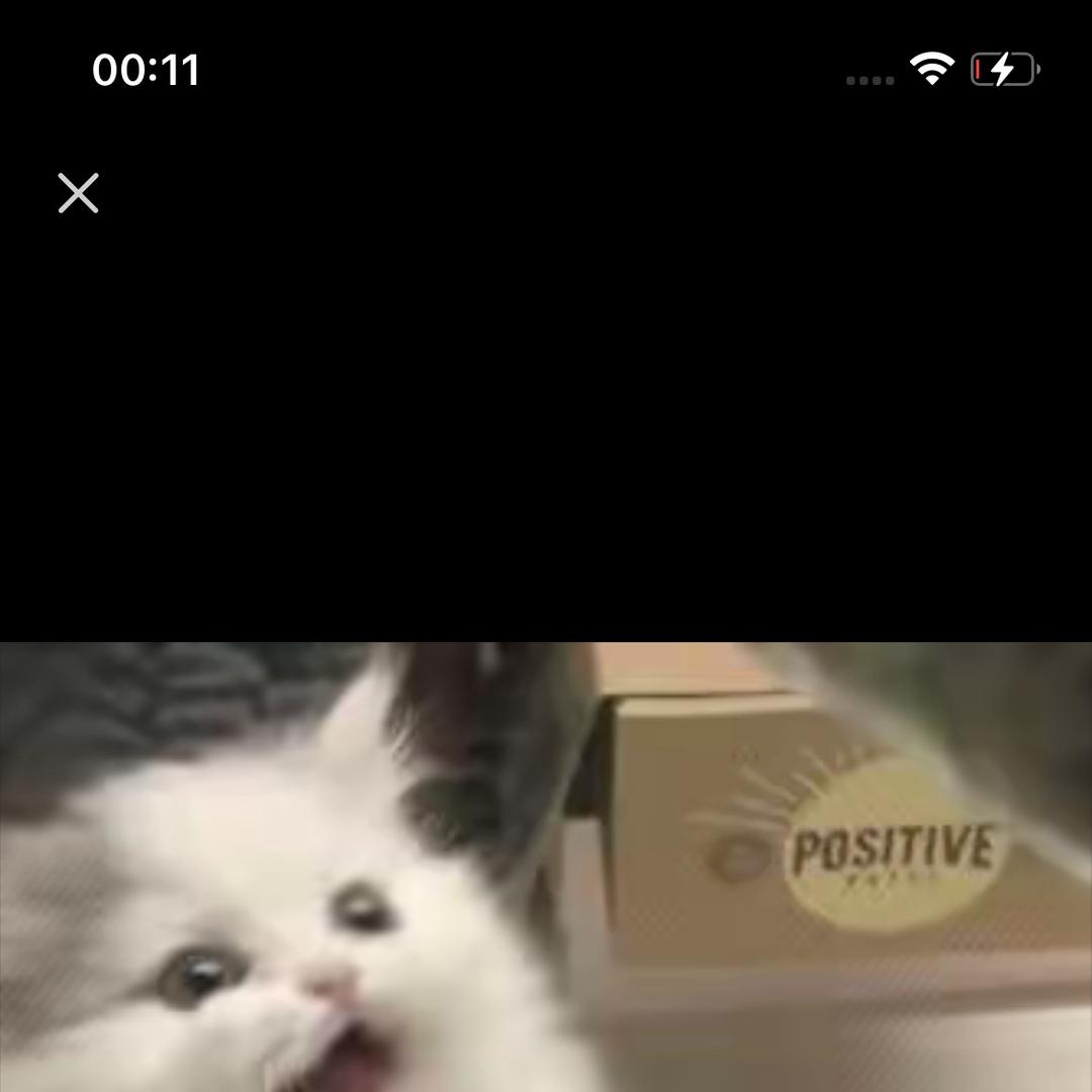 68363303775