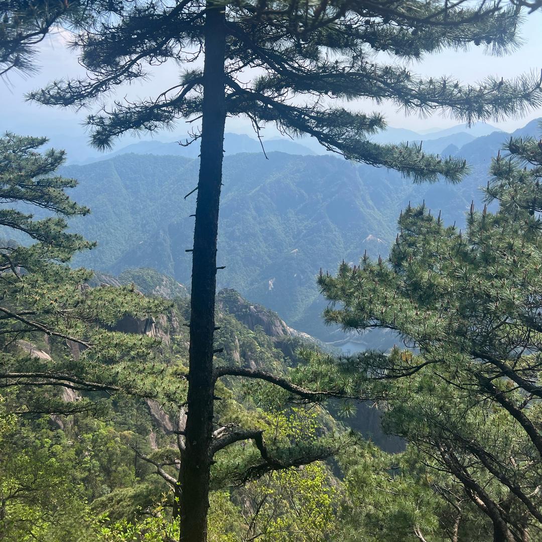 小山羊源头工厂14