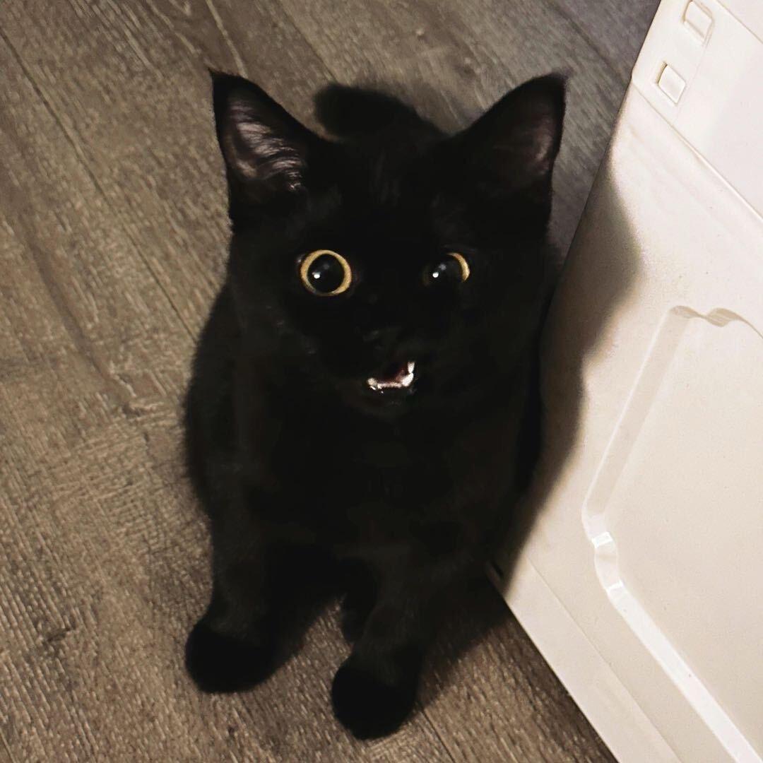 那咋办你报警吧