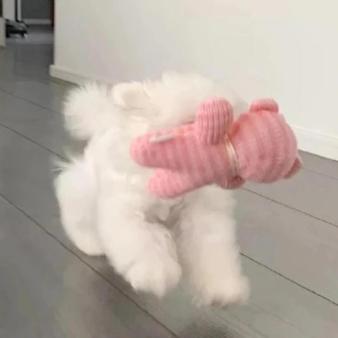 姓、 郭