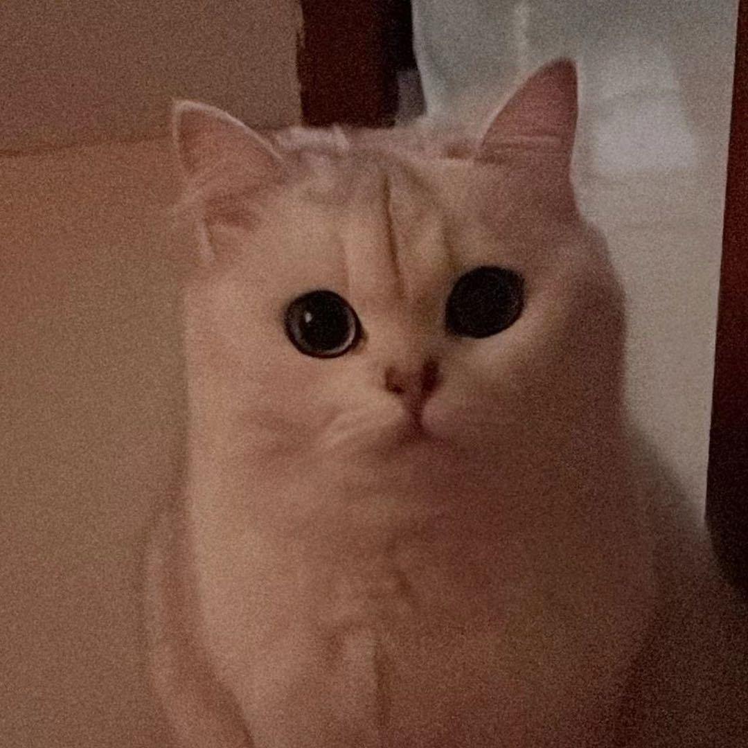 Anne