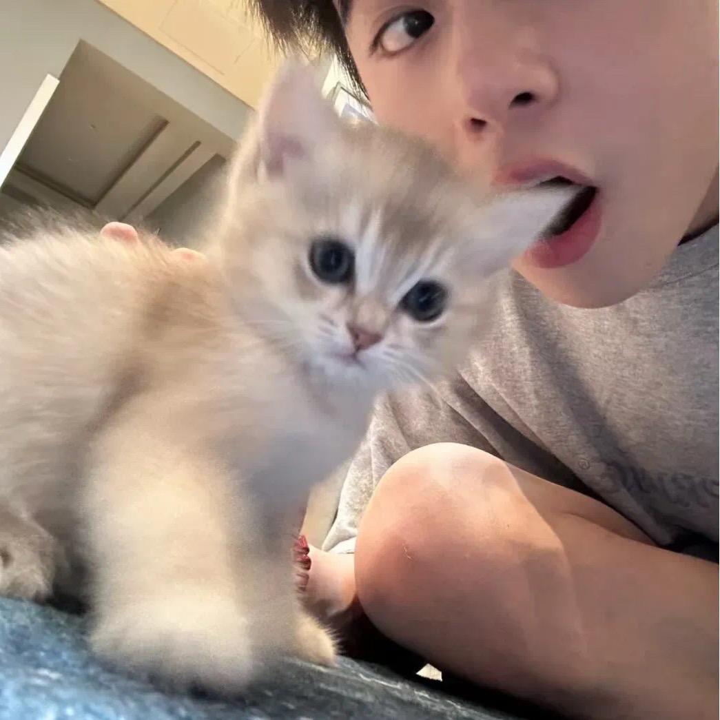 不服帅哥就爆井