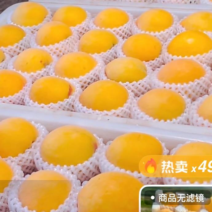 沐源源头