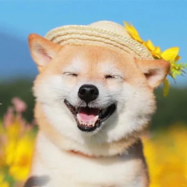 老李的动物世界