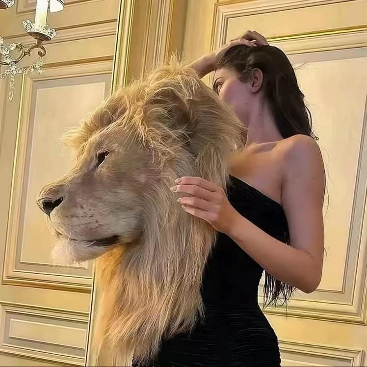 ·婧 媮