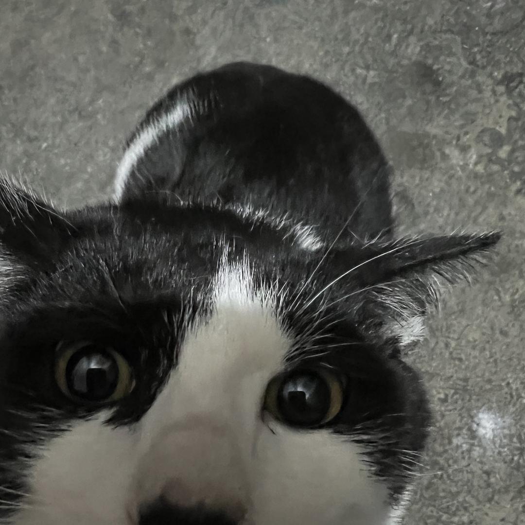 滕喜商贸