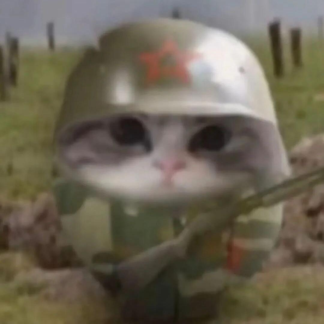 小包容
