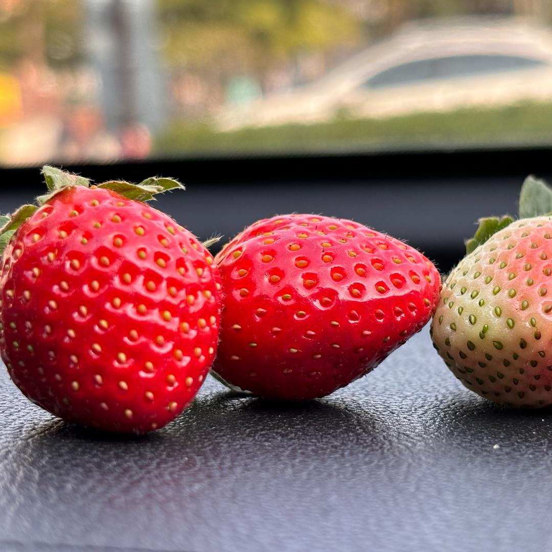 有你不一样！！！