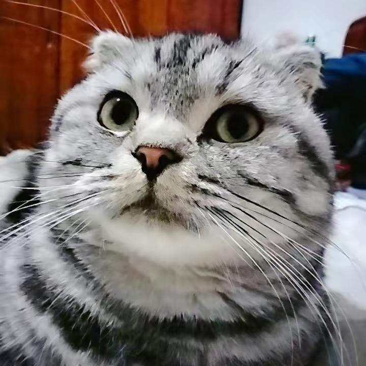 今生无悔