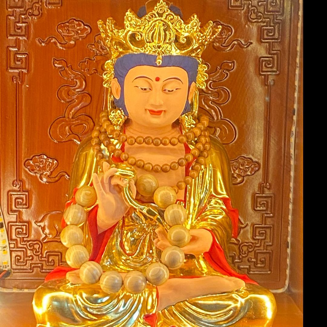 小树苗童装优选-1