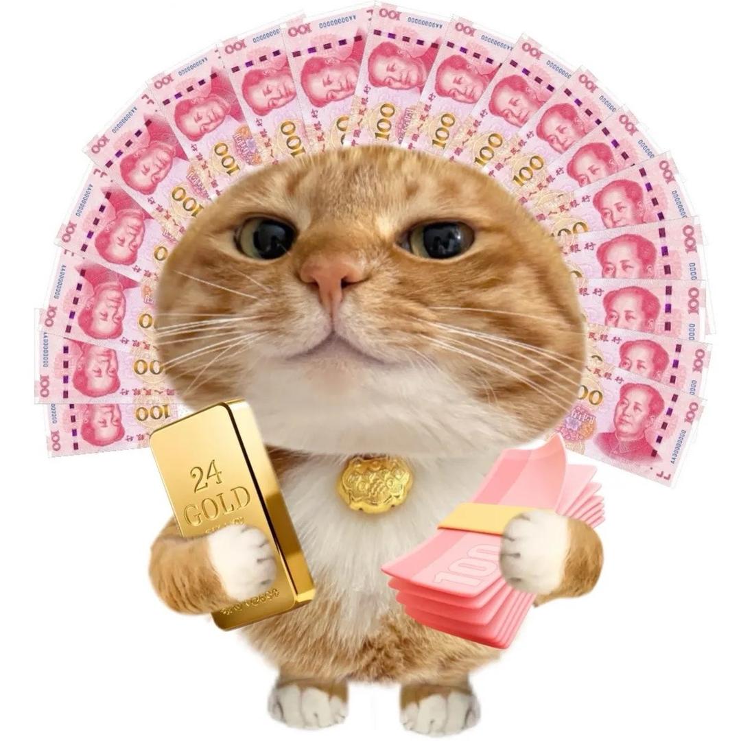 我是你毛爹爹（涟水家宴的忠实粉丝）