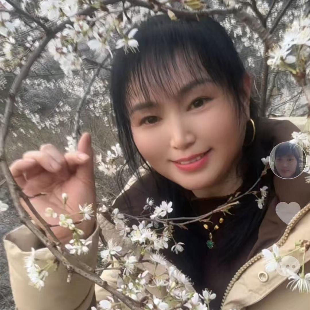杨三妹（每晚8..10开播）