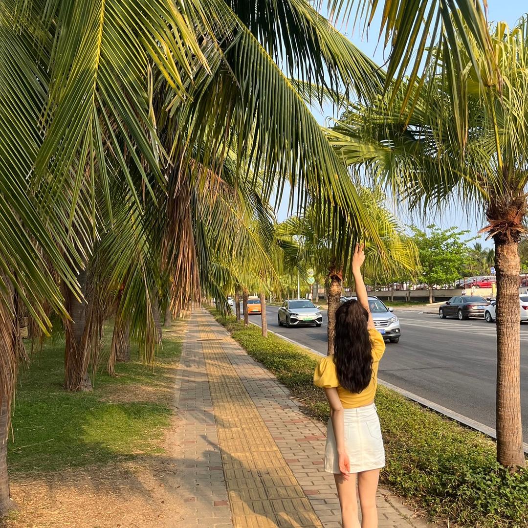 @小小的刺猬