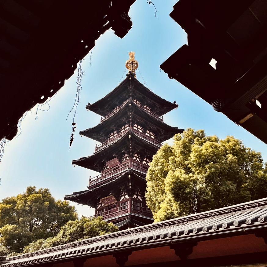 麻辣小龙虾！ ！ ！