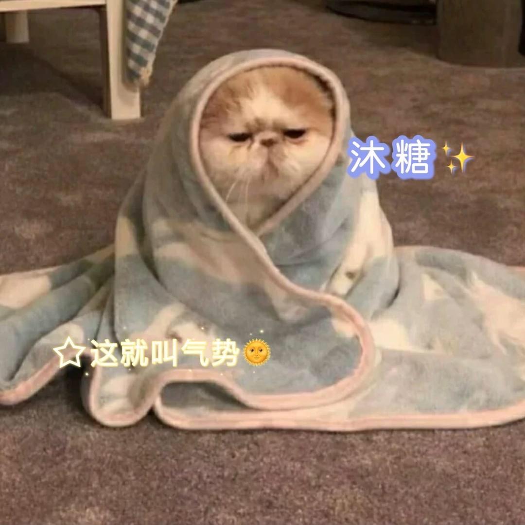 沐糖💭