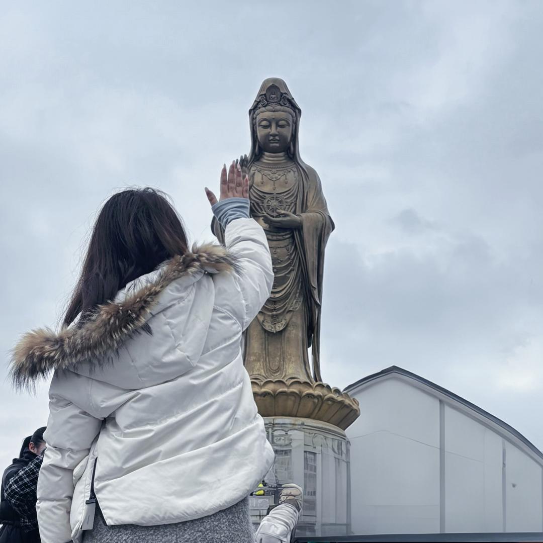 一吃就胖的田田田🎀