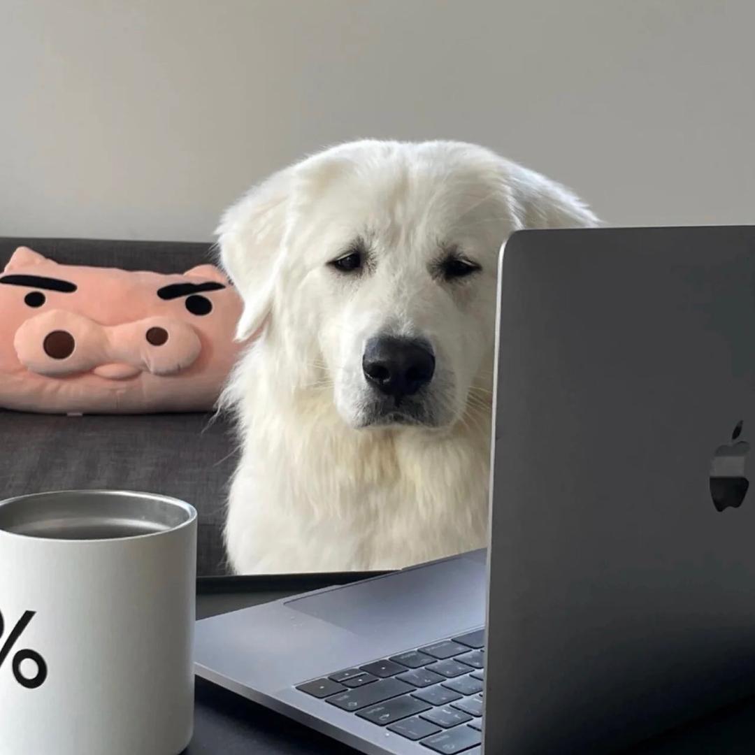 只钓一斤以上的鱼