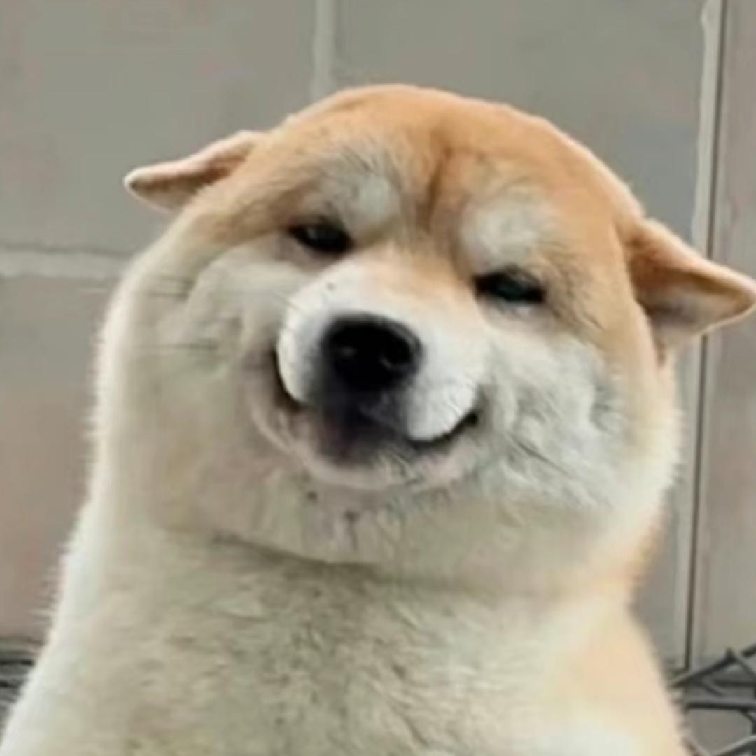 乐呵