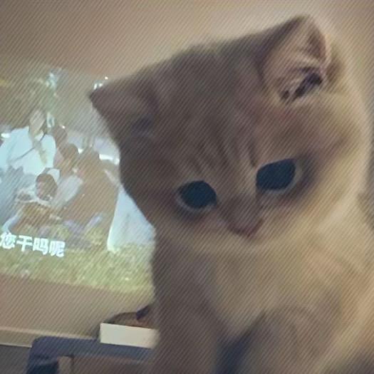 落幕