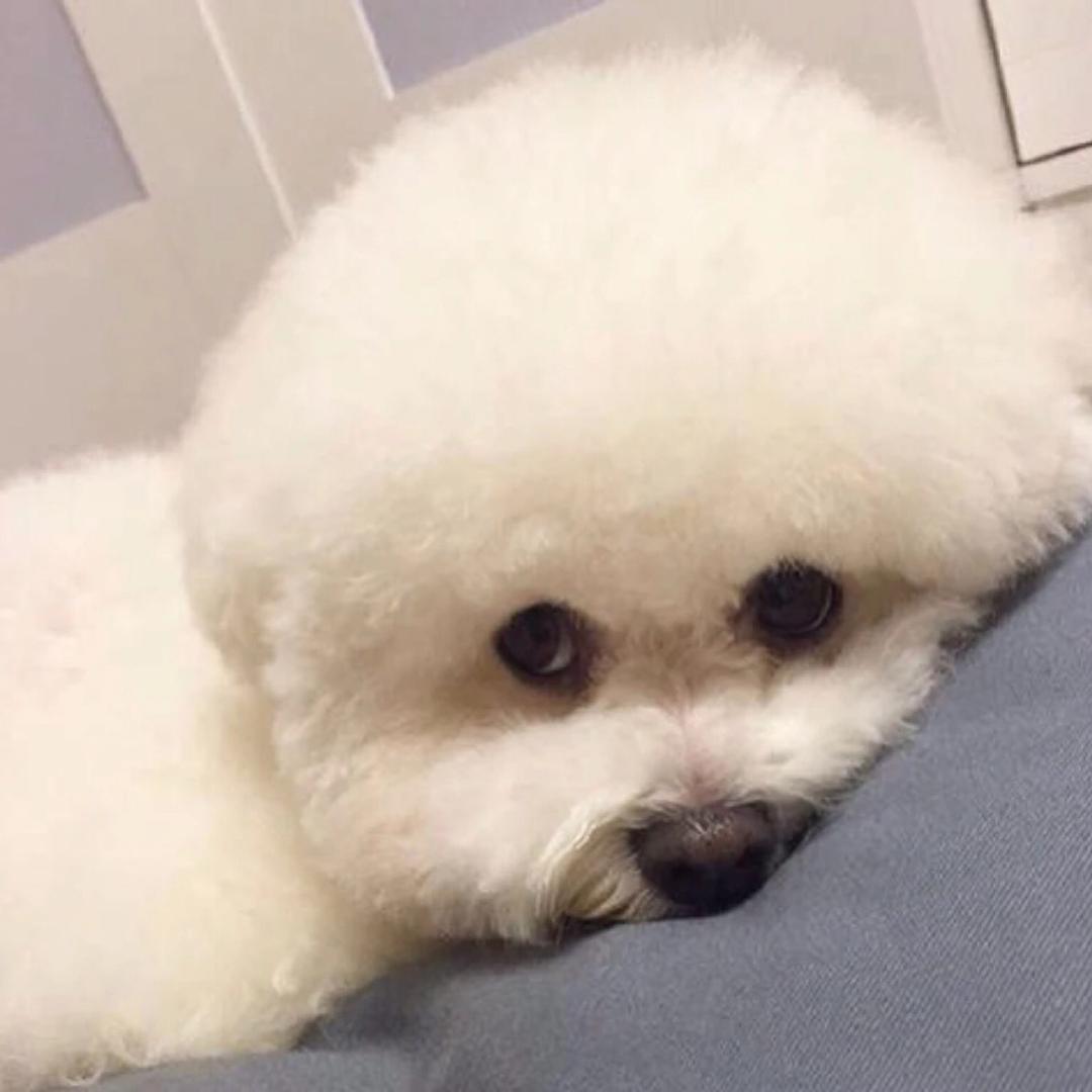 小冯杂货店上海丹旋直播65号