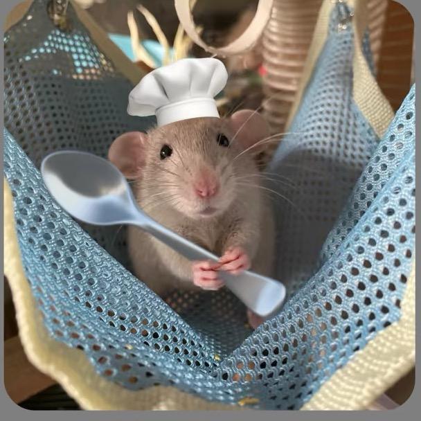 𝙞𝙪𝙠𝙤𝙞𝟳𝟳 .