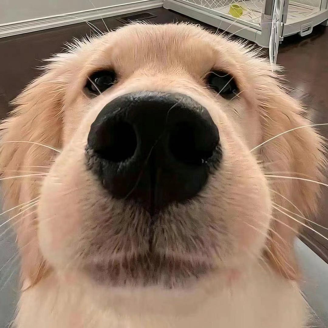 嘣嘣嘣🥺