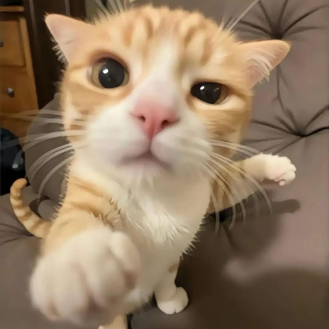 T.