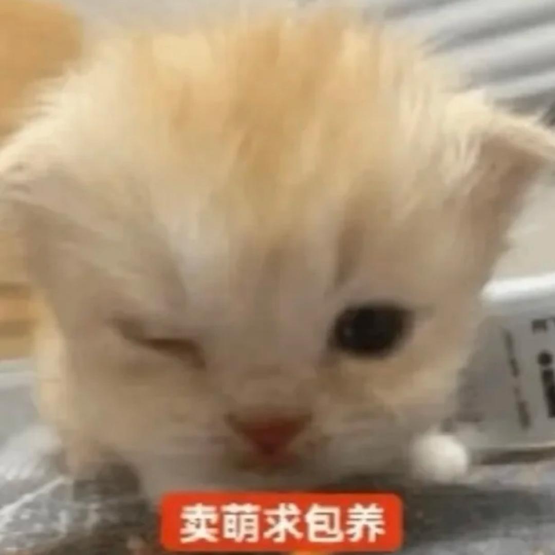 我要喝遍世上所有冻柠茶