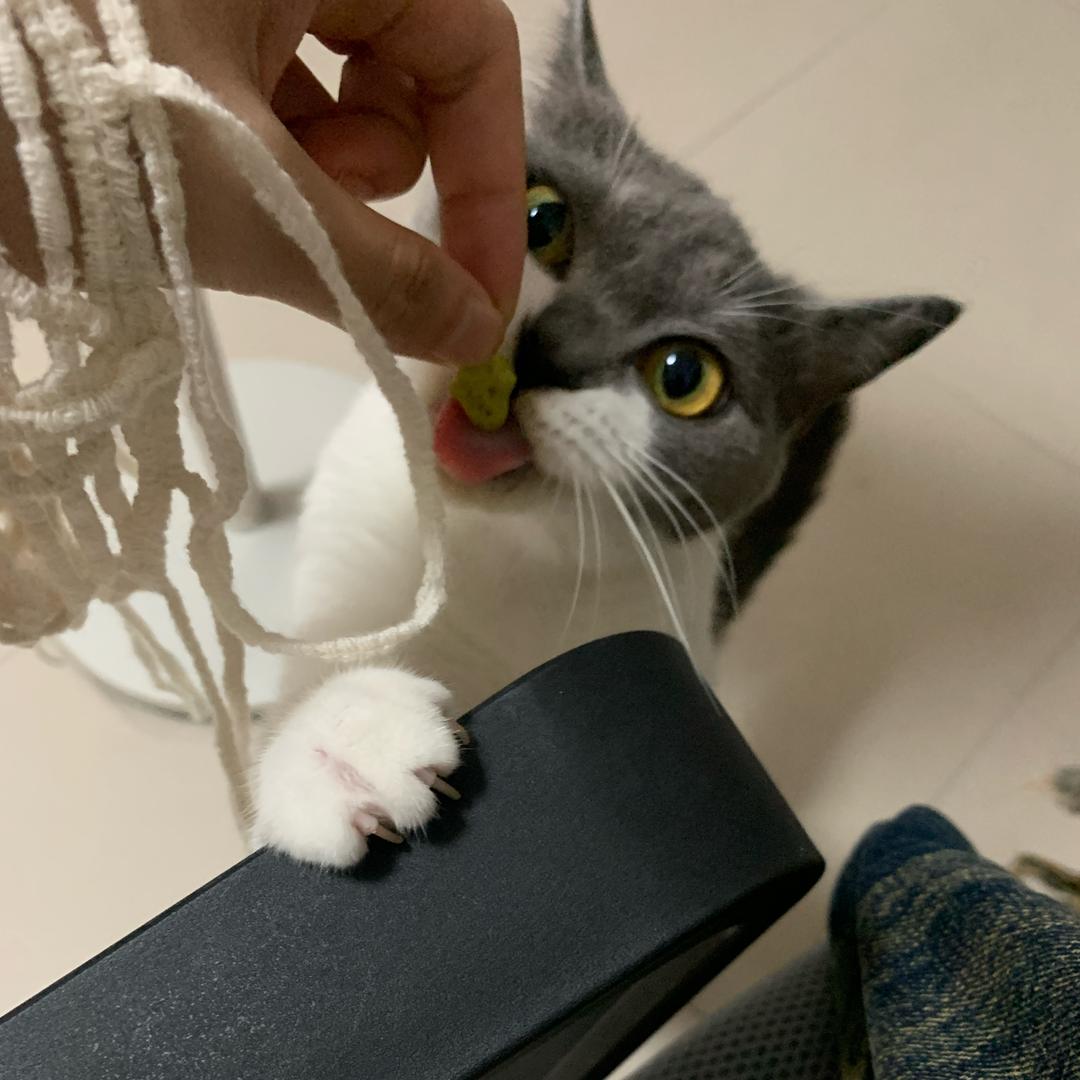 (๑˃̵ᴗ˂̵)👍