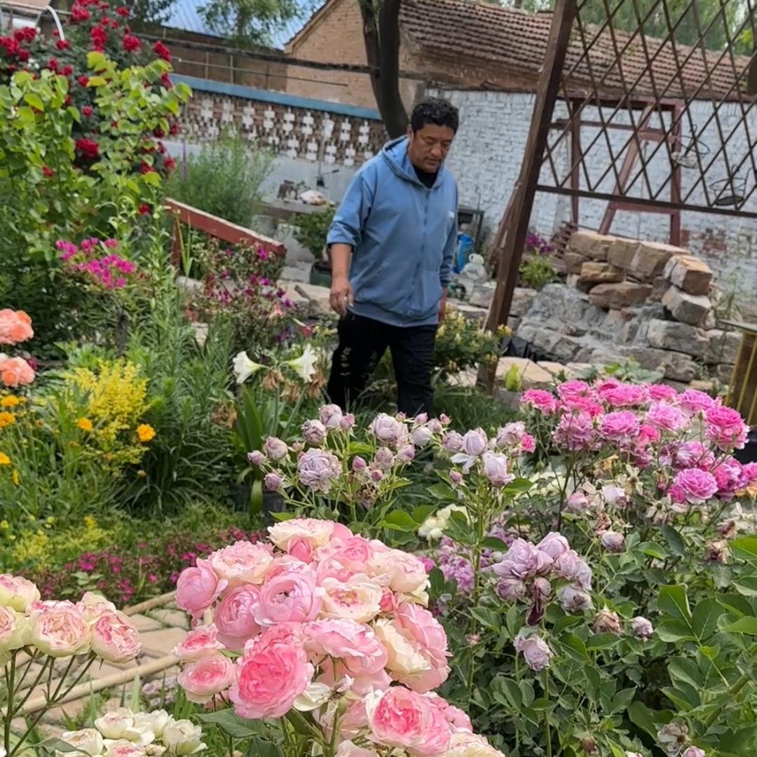 田哥小院