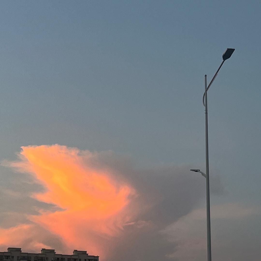 暮暮